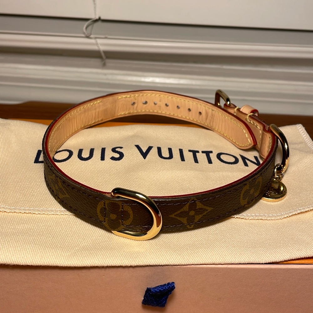 Louis Vuitton Dog Collar Medium - Picture 9 of 16